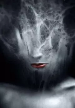 Попаданка волшебного средневековья