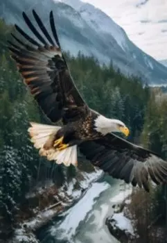 Портал человечности