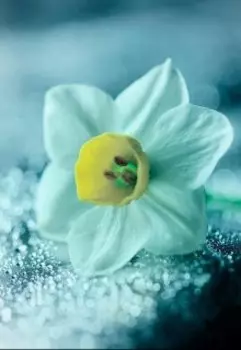 Последний день