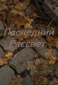 Последний рассвет