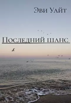 Последний шанс