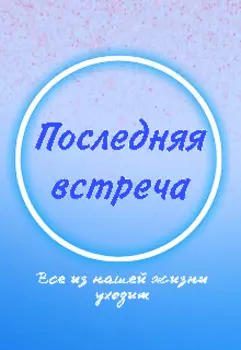 Последняя встреча