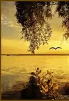 Посвящается моему умершему другу сказка