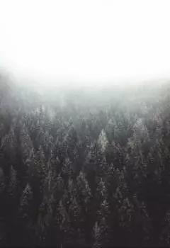 Потерянный во тьме