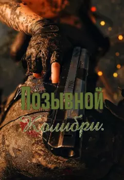 Позывной Колибри.