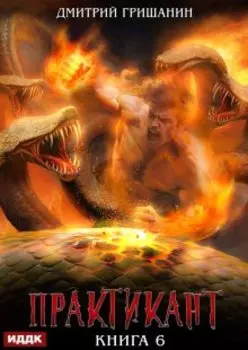 Практикант. Книга 6