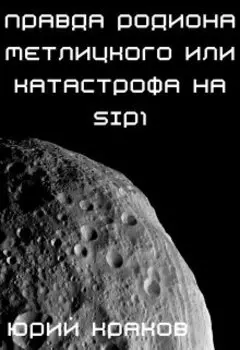 Правда Родиона Метлицкого или катастрофа на Sip1