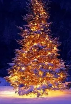 Предвкушение Нового года