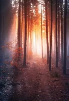 Прекрасная тьма