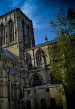 Прекрасный Новый мир: (не очень) мирная локация