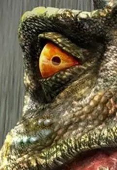 Преображение "Вы'жить"