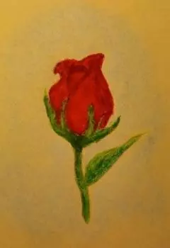 Приключение Лесной Розочки