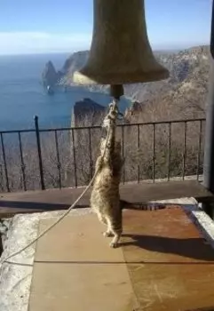 Приключения Гтеса из Карпатоса