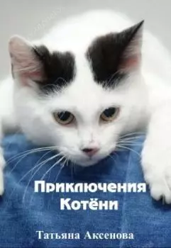 Приключения Котёни