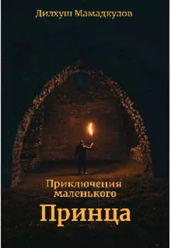 Приключения маленького Принца