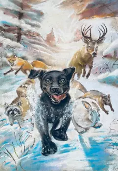 Приключения Снежка