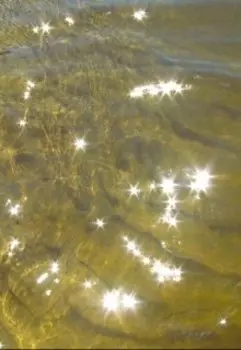 Приключения солнечных зайчиков