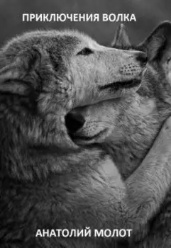 Приключения Волка