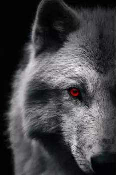 Приключения в гарри поттере