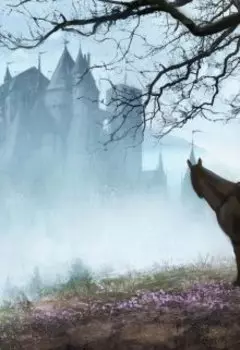 Приключения в замке (из воспоминаний оруженосца)