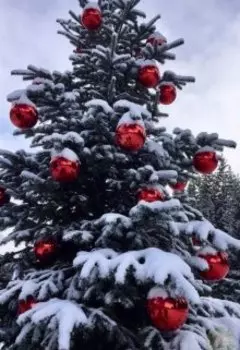 Принцесса декабря