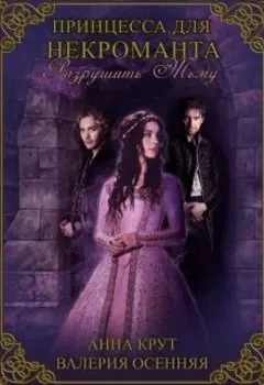 Принцесса для некроманта. Разрушить тьму