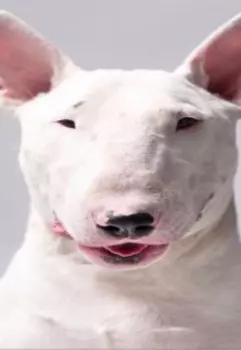 Пришло время