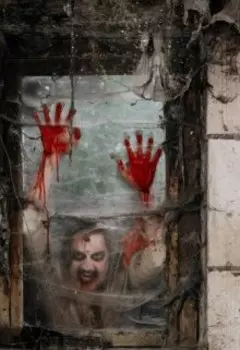 Приют для животных