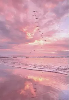 Привет, Аида