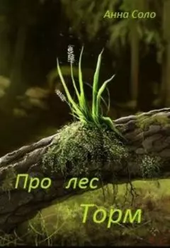 Про лес Торм