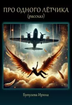 Про одного лётчика