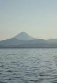 Про скрипку