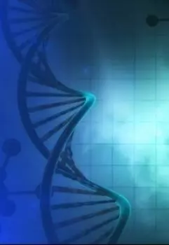 Проект "Бустер"