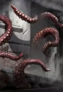 Проект "Кибудцузи"