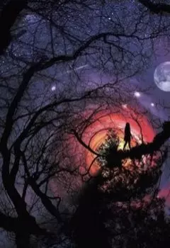 Проклятие Ночи и Солнца Рассвет