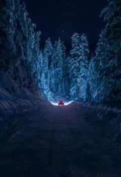 Прощай, мой милый дом