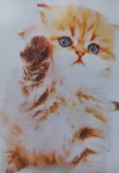 Прощальный взгляд