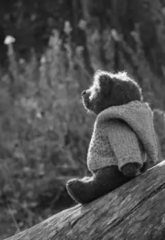 Прощание с юностью