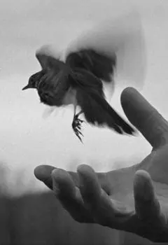 Прощение души