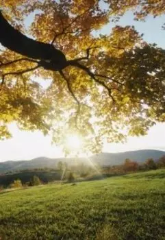 Просто сказка