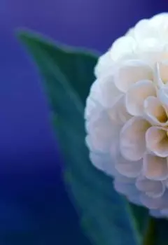 Просто уходило лето…