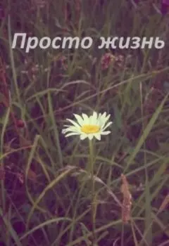 Просто жизнь.