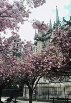 Провинция винного имени