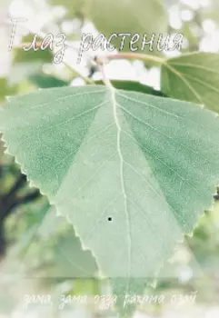 Психология эзотерики измерений