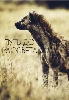 Путь до рассвета