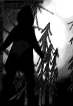 Путь к луне