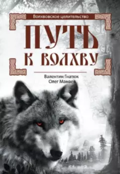 Путь к Волхву