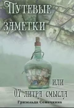 Путевые заметки или 0,7 литра смысла