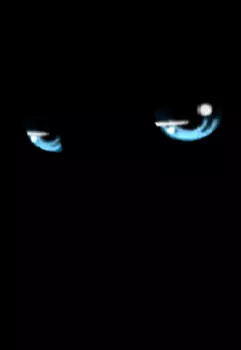 Пылающяя история