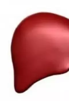 Радиоактивный гриб